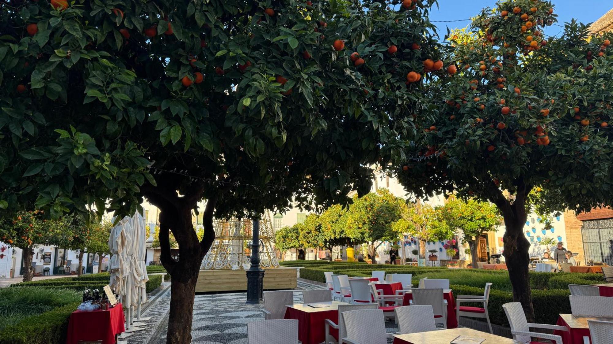 Apartament Village *