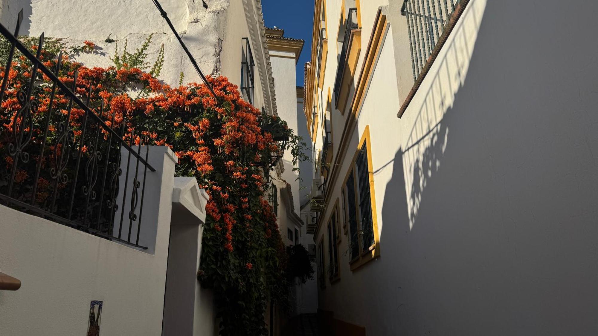 Village * Marbellac